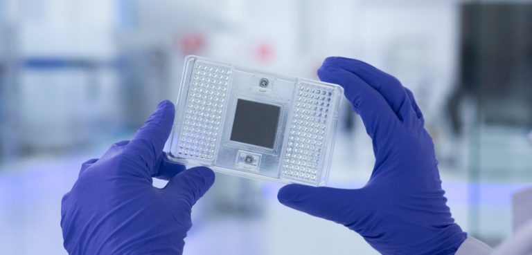 Genotypisierungs-Chip für die Genanalyse