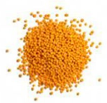 Coenzyme Q10