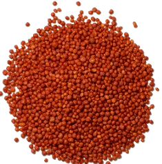 Lutein