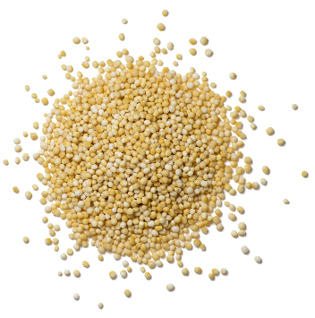Folic acid – Methylfolate