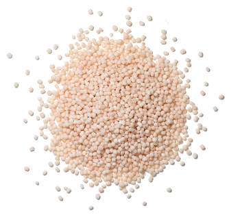 Vitamin B12