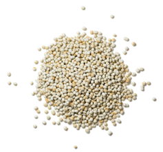 Vitamin B6